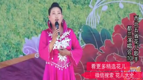 最新青海花儿直令大全