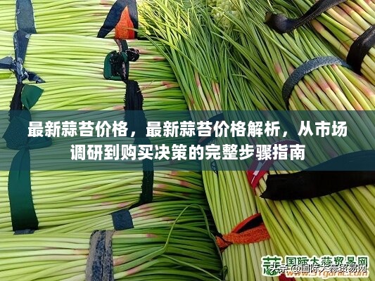 今日蒜苔最新价格行情