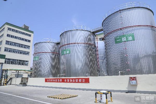 博兴香驰最新招聘信息