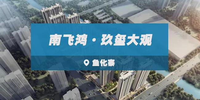 鱼化寨最新发展
