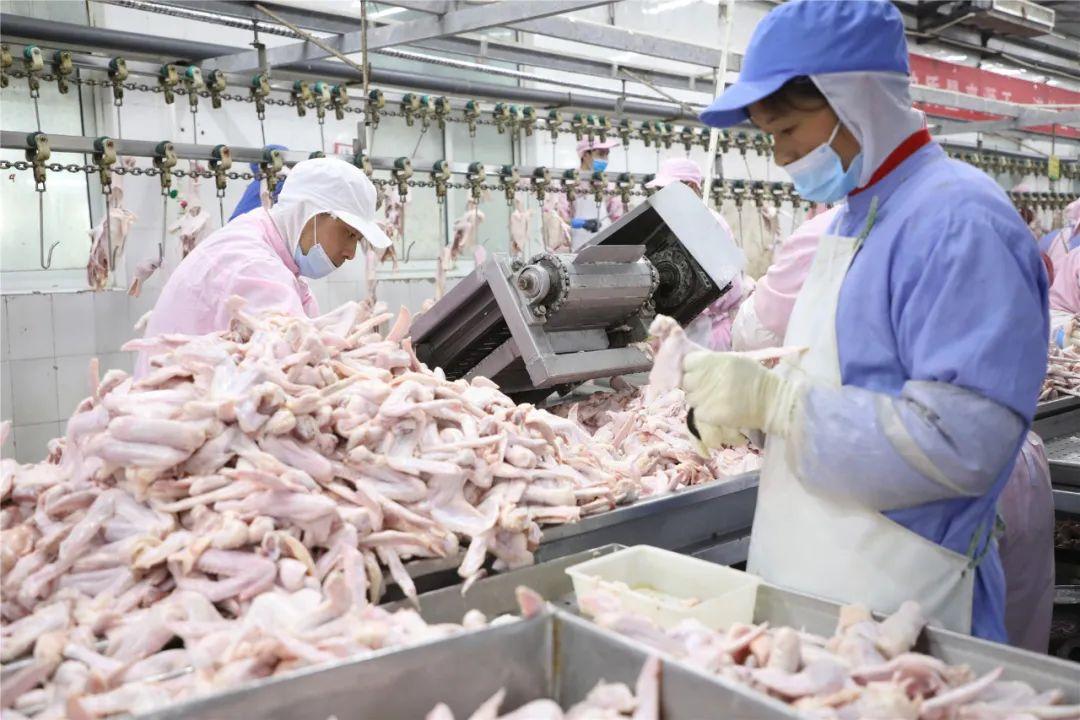 柘城县最新招工信息