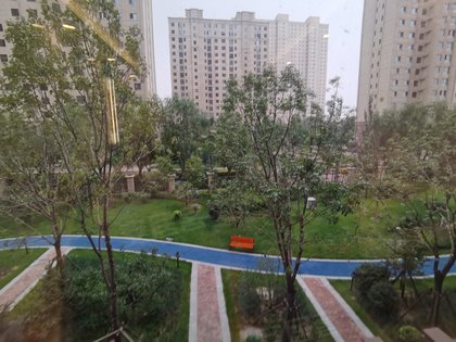洛宁公园一号最新动态