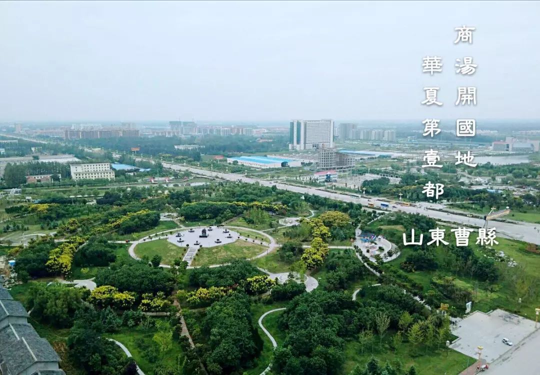 曹县金座最新消息