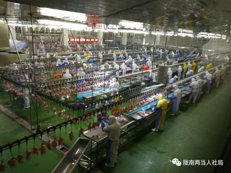 莱西九联最新招聘信息