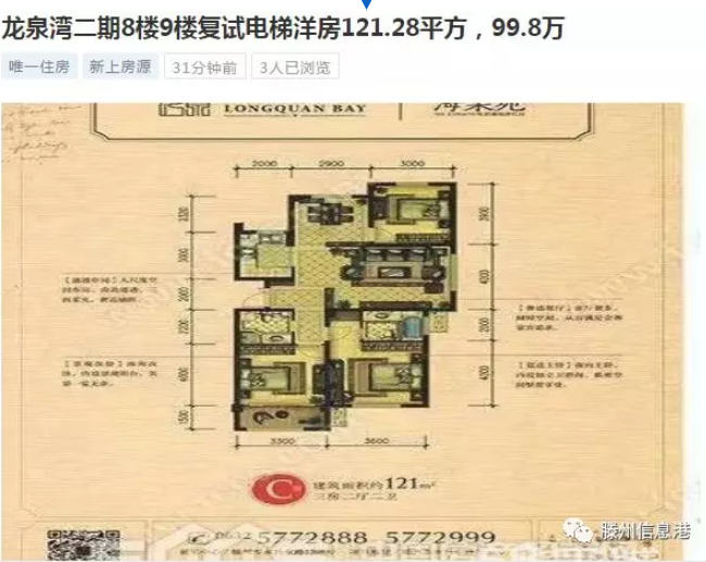 新闻头条 第341页