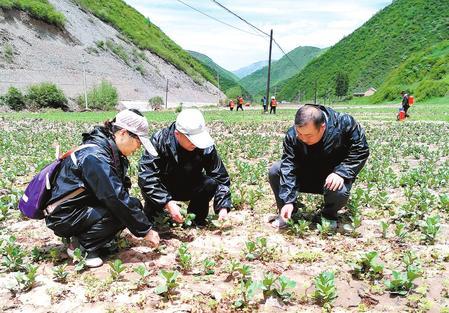 岷县昨天新闻最新消息
