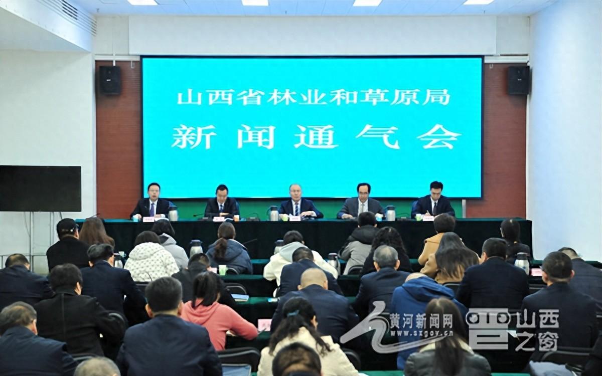 山西活立木最新消息