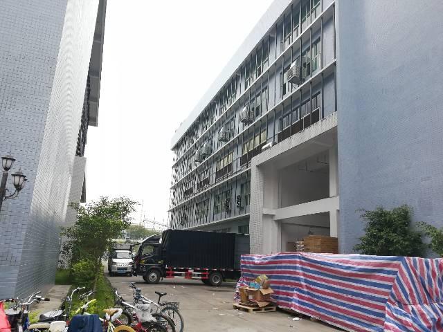 深圳龙岗宝龙最新招聘