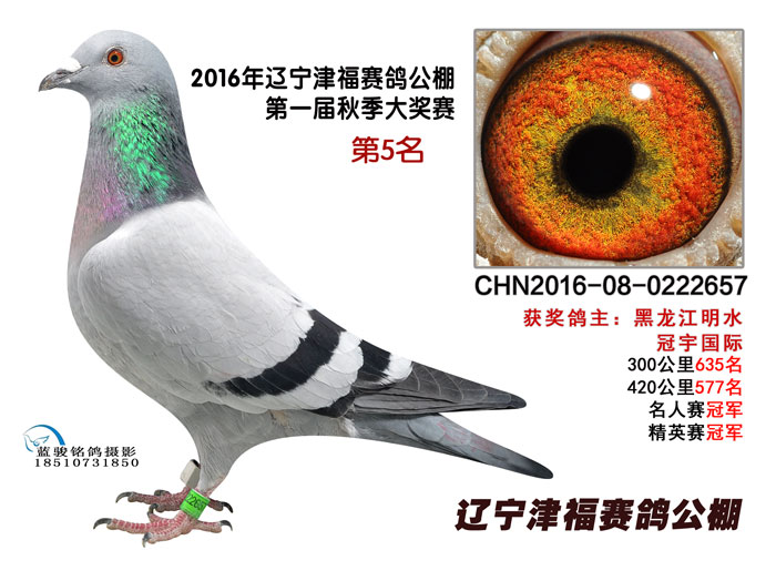 新闻头条 第330页