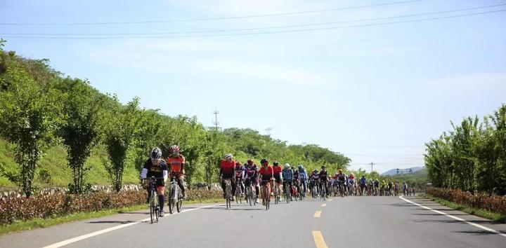 湖州市最新任前公示