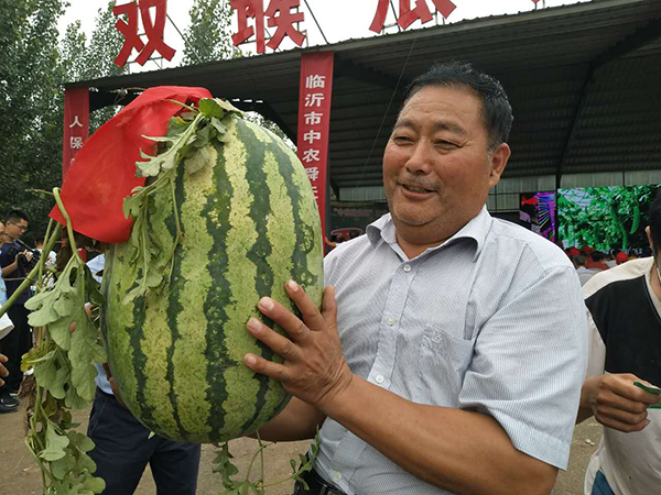 肥城王瓜店最新招聘