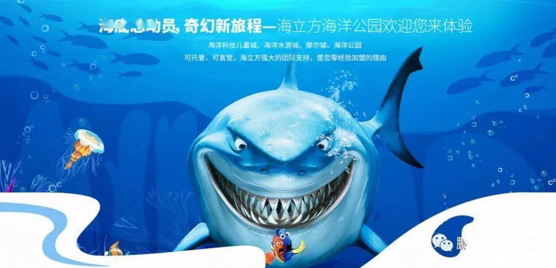 华阳海洋公园最新招聘