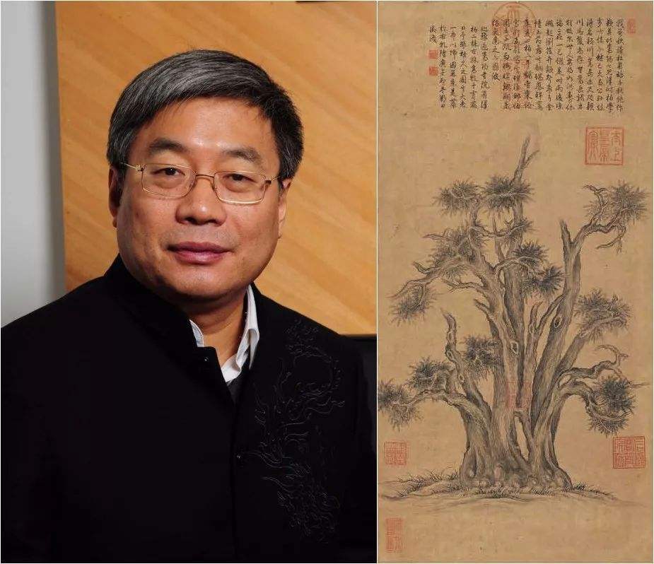 嵩阳汉柏图案件最新
