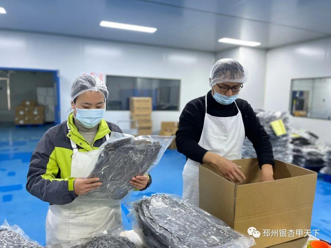 邳州工厂招工最新消息