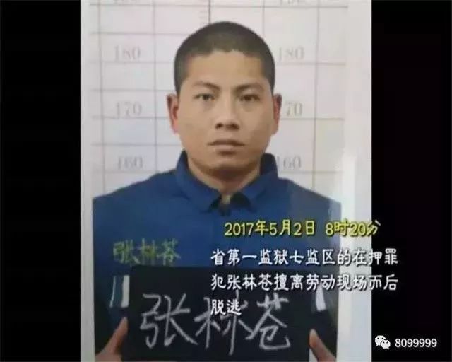 越狱犯张林苍最新消息