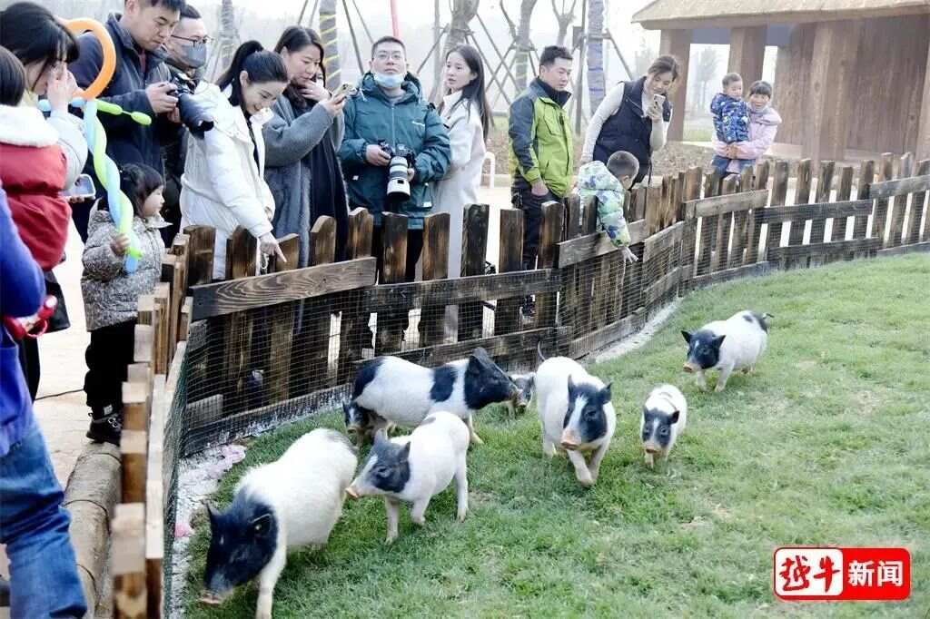 兰亭野生动物园最新消息