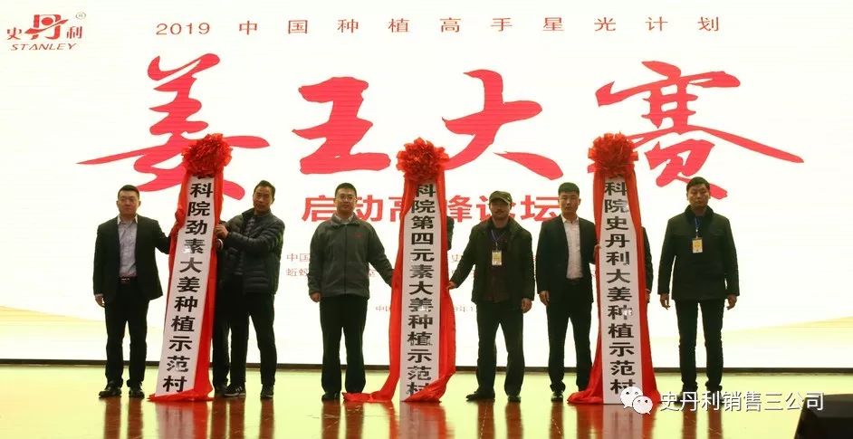 黄大仙高手论坛资料大全,黄大仙高手论坛资料大全，深度解读与探索