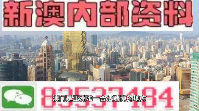 新澳门精准资料免费提供,新澳门精准资料的重要性及其免费提供的影响