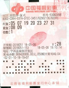 2023澳门特马今晚开奖结果,澳门特马今晚开奖结果，探索彩票背后的故事与期待