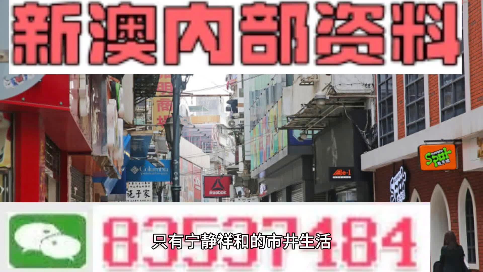 2025澳门资料大全正新版,澳门资料大全正新版 2025年概览