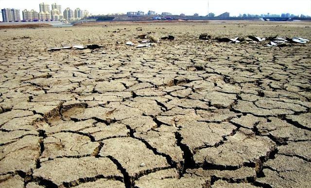 2025新浪正版免费资料,新浪正版免费资料，探索未来的知识宝库（2025展望）