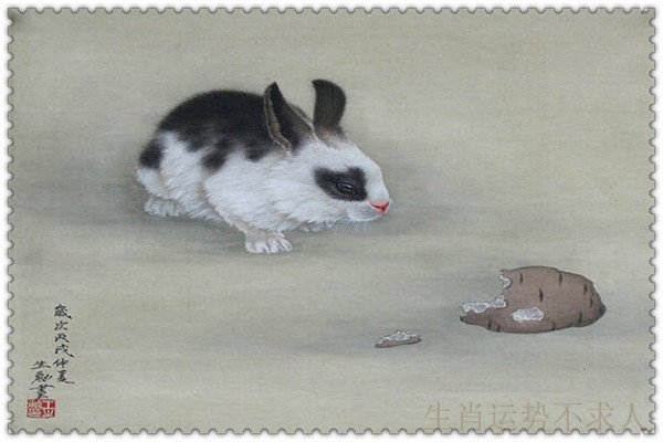 今天晚上澳门三肖兔羊蛇,今晚澳门三肖兔羊蛇的神秘魅力