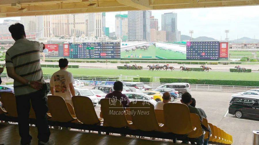 2022澳门特马今晚开奖现场实况, 2022澳门特马今晚开奖现场实况——紧张激动的时刻