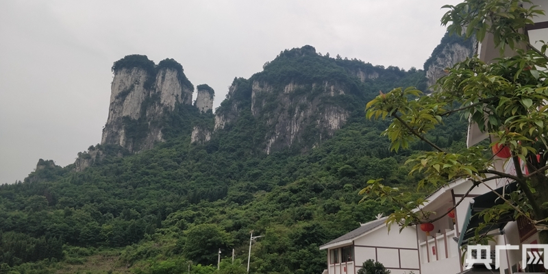 热门推荐 第218页