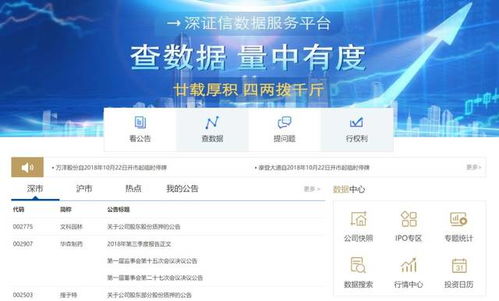 新澳精准资料网址,新澳精准资料网址，探索信息的深度与广度