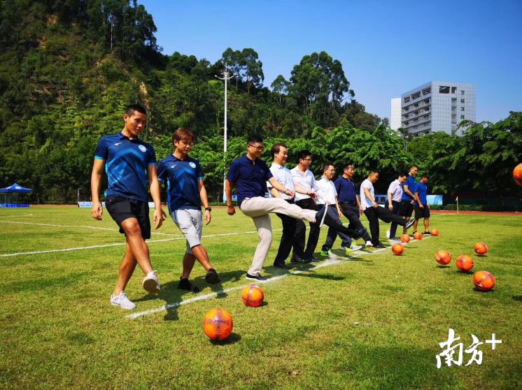澳门正版挂牌免费挂牌大全,澳门正版挂牌免费挂牌大全，探索与解析
