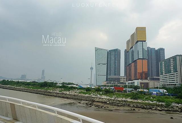 新奥门特免费资料大全,新澳门免费资料大全——探索与发现之旅