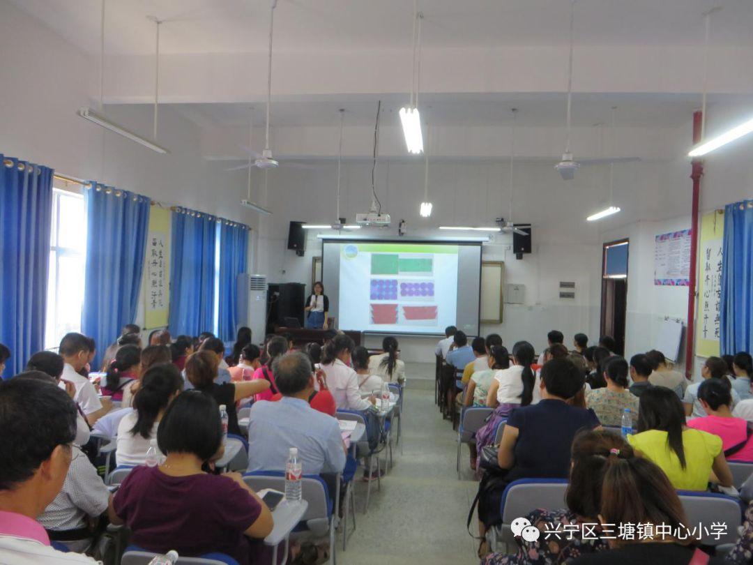 最准一肖100%准确使用方法,揭秘最准一肖，百分之百准确使用方法