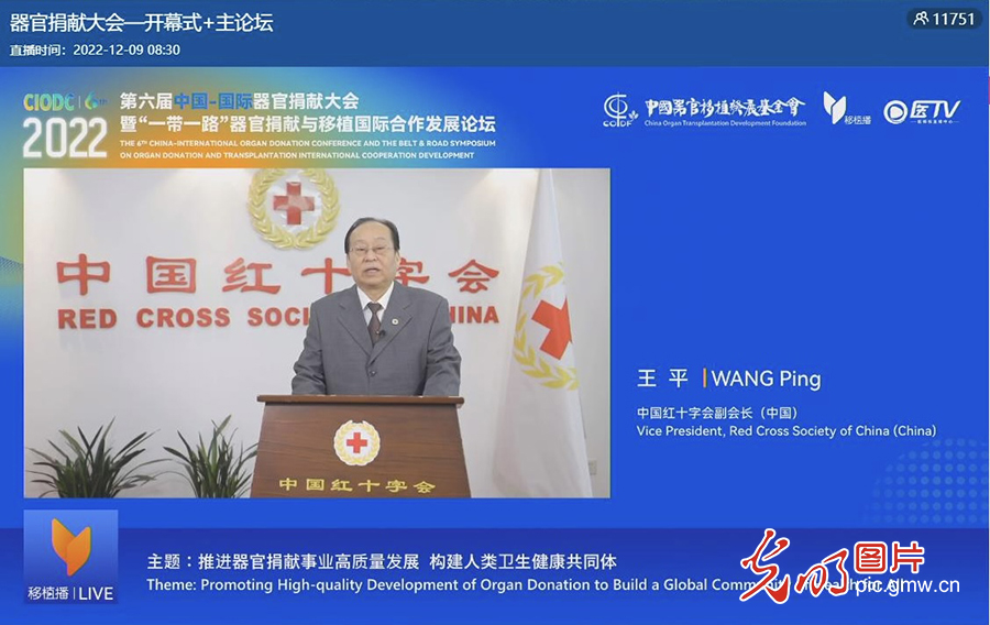澳门六今晚开什么特马,澳门六今晚开什么特马，探索博彩文化背后的秘密