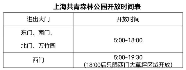 黄大仙精准资料大全,黄大仙精准资料大全，解读神秘文化现象