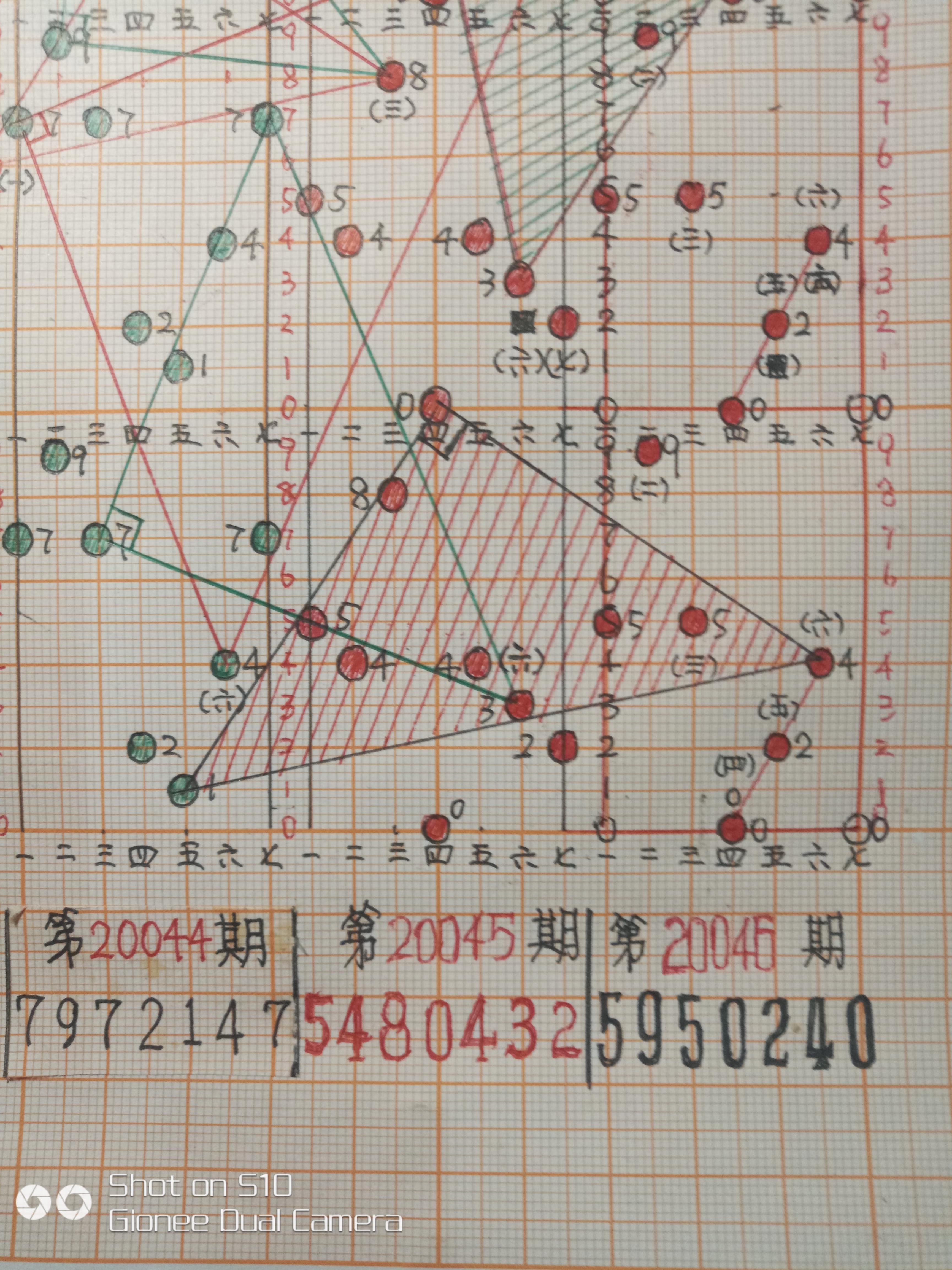 下一期可能中奖号码,探寻下一期可能中奖号码的秘密