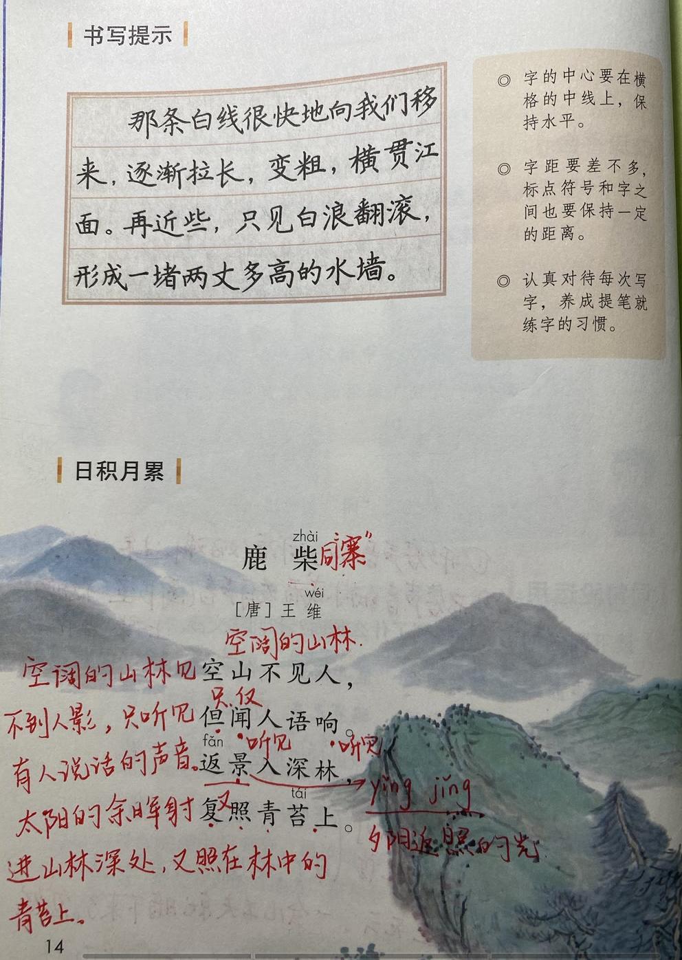 四肖八肖期期准资料长期免费,四肖八肖期期准资料长期免费，揭秘背后的秘密与真相
