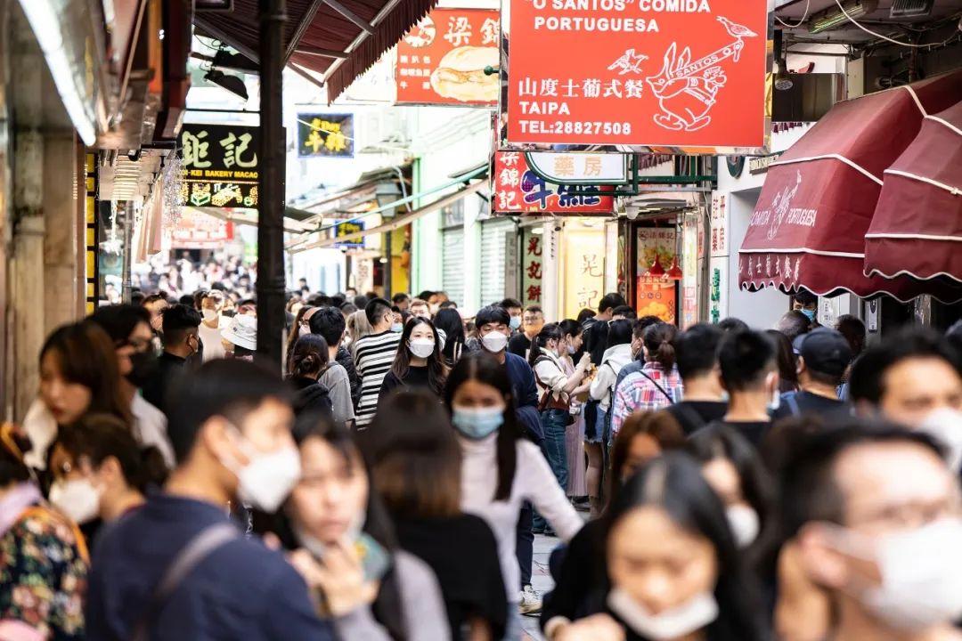 澳门335期资料查看一下,澳门335期资料深度解析与查看指南