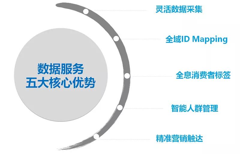 管家婆资料精准大全,管家婆资料精准大全，探索现代管理与数据分析的宝库