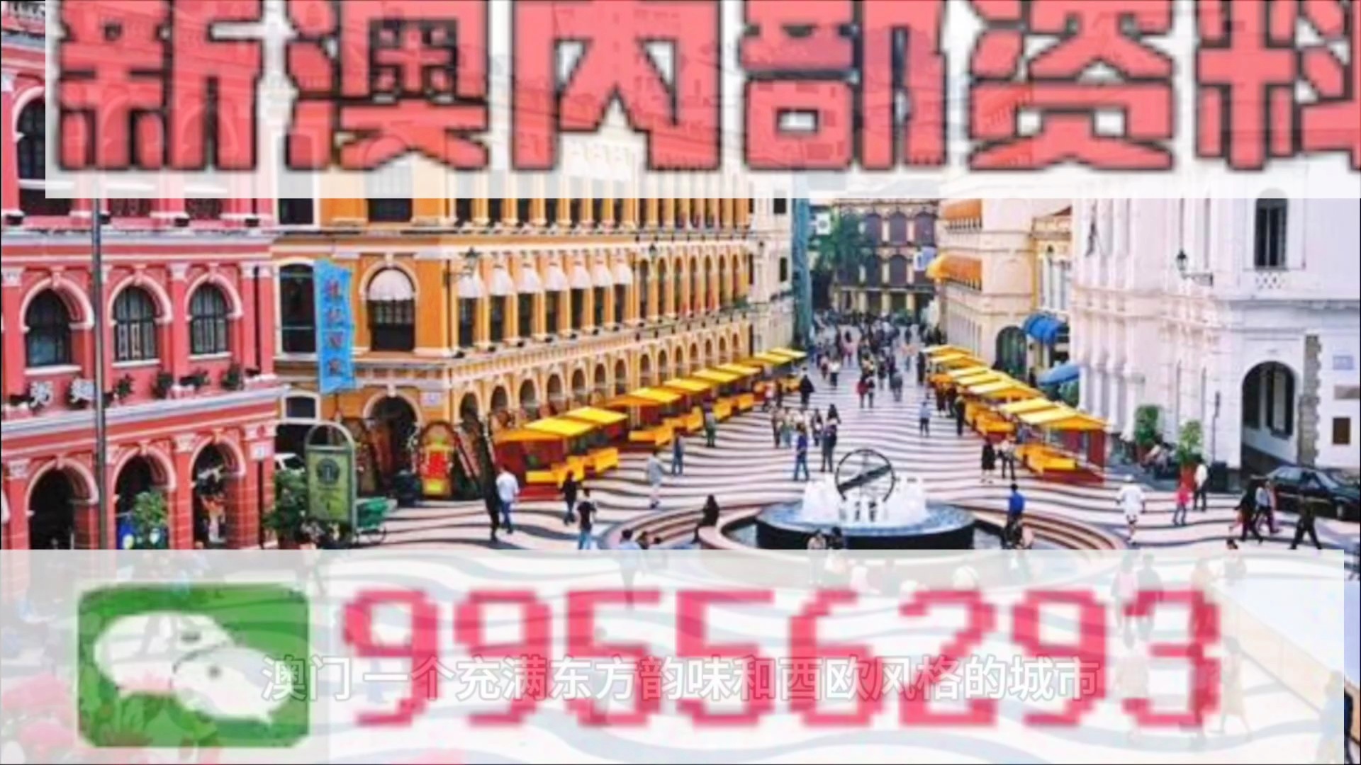 2025新奥门资料大全138期,新澳门资料大全 2025年第138期概览