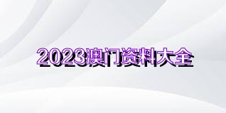 新澳门资料大全正版资料2023,新澳门资料大全正版资料2023，探索与揭秘