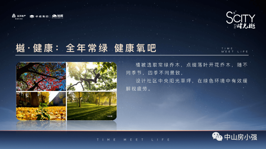 新澳2025年精准资料32期,新澳2025年精准资料解析，第32期深度报告