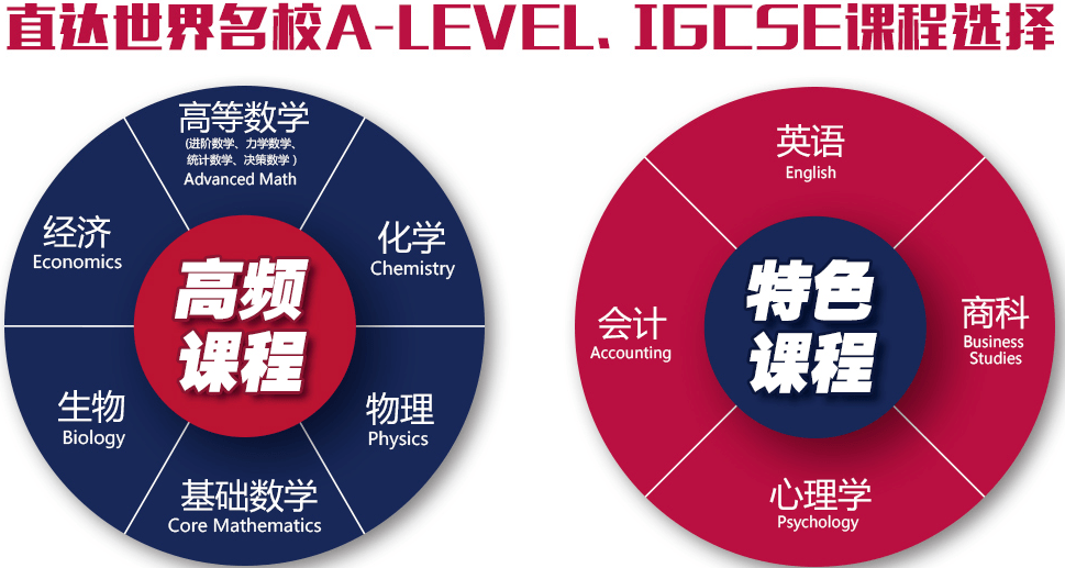 2025最新奥门免费资料,探索澳门，最新免费资料的深度解读（2025年展望）