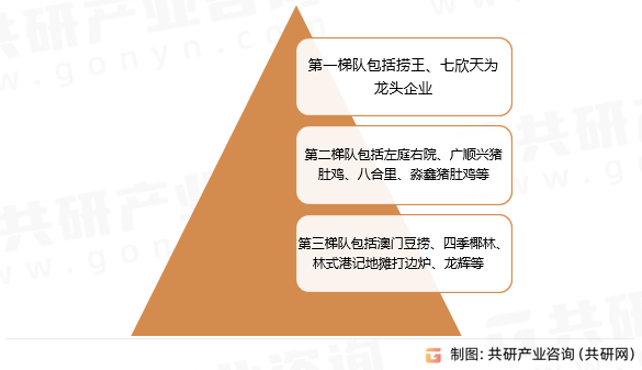 新澳资料大全正版资料,新澳资料大全正版资料，全面解析与深度探讨