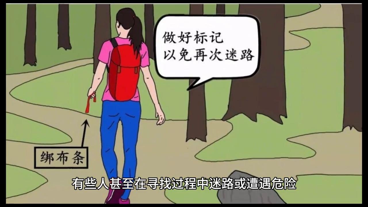 黄大仙精准正版资料论坛,黄大仙精准正版资料论坛——探索神秘与真实的交汇点