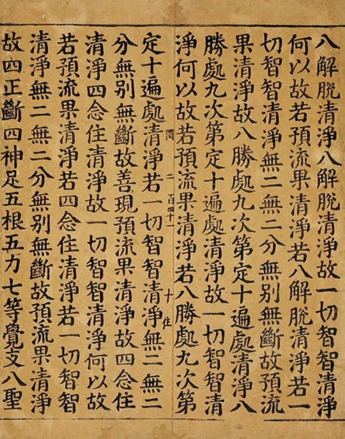 二四六天天彩资料大全网最新,二四六天天彩资料大全网最新，探索与解读