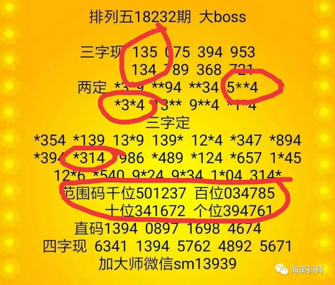 四肖期期准四肖期期准,四肖期期准，精准预测的魅力与策略