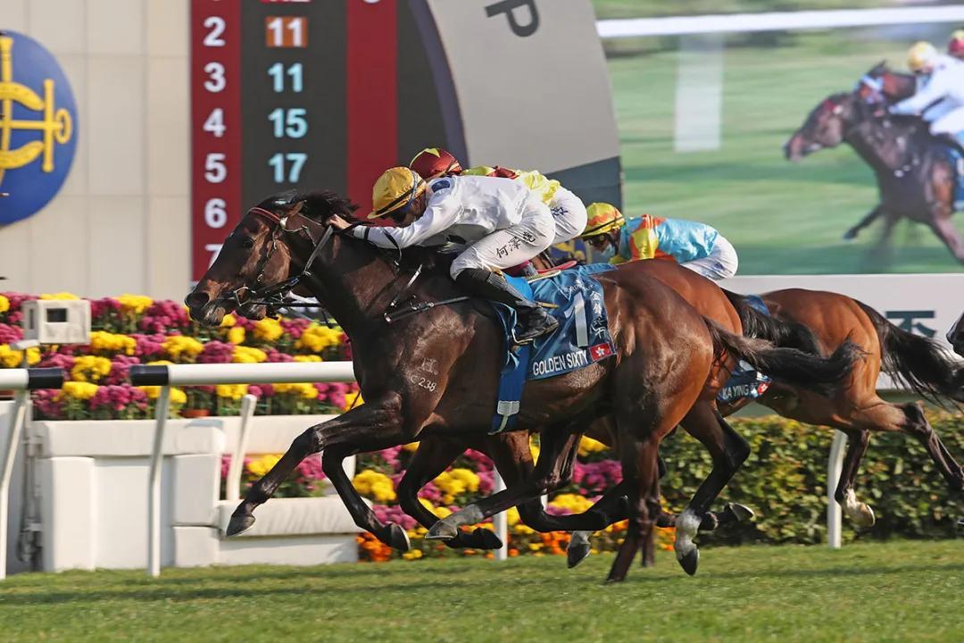 2025今晚新澳门马出什么,探索未来之门，新澳门马会预测与未来的可能性（关键词，今晚新澳门马出什么）