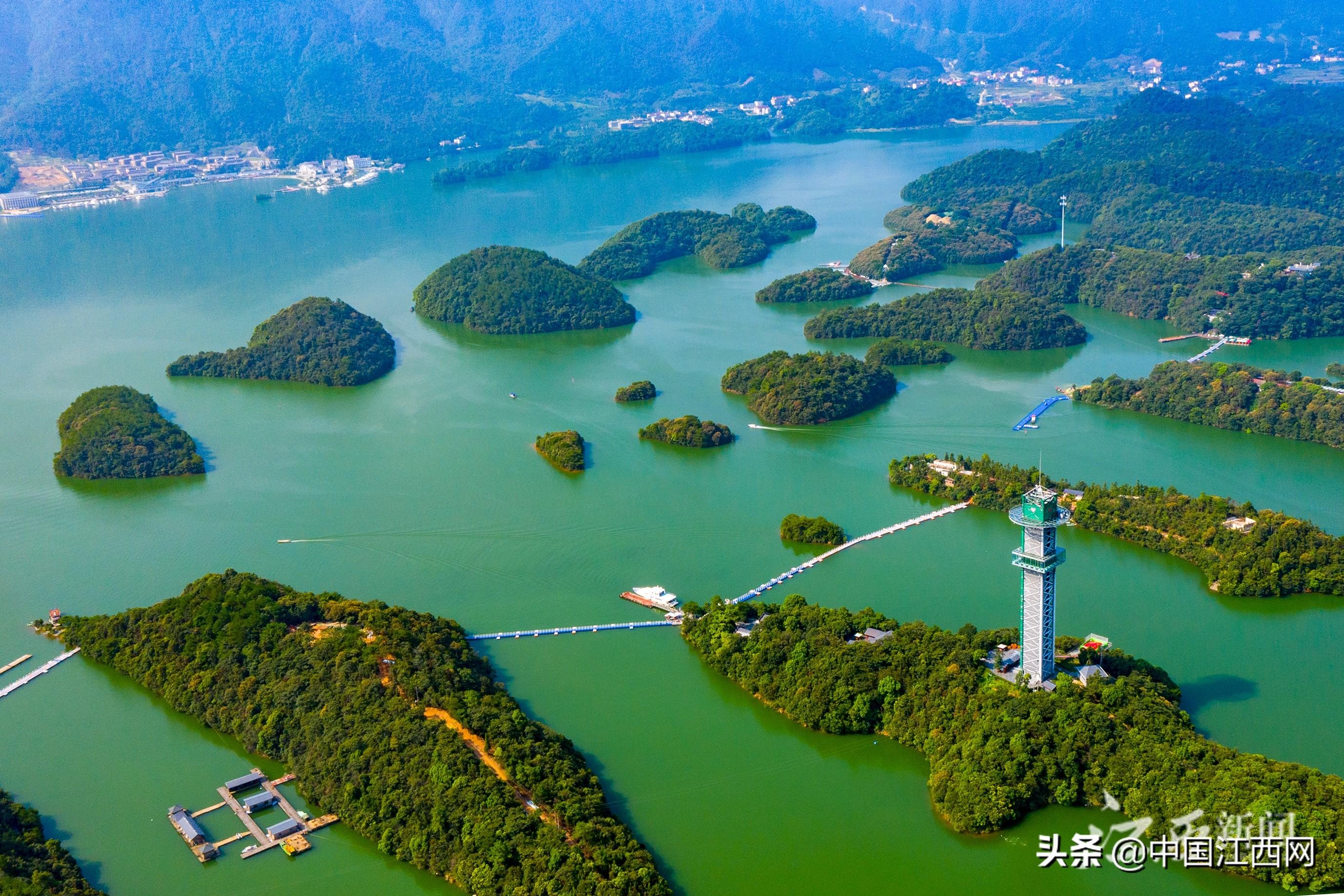 2025新臭精准资料大全,2025新臭精准资料大全，探索与挖掘