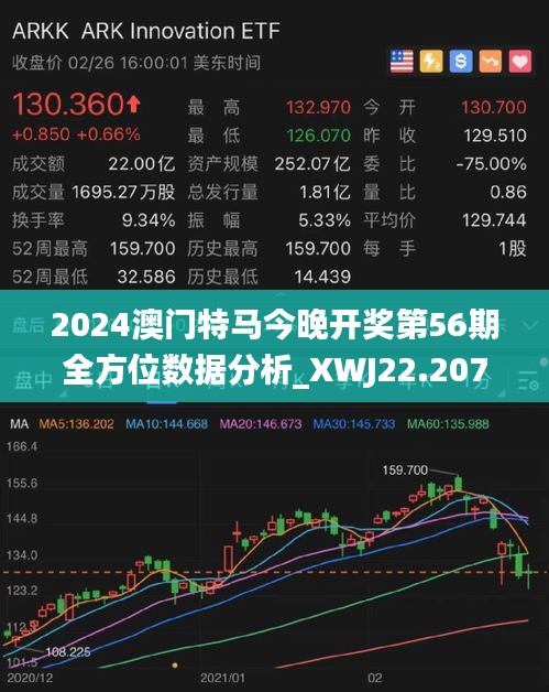 2025澳门特马今晚开什么,澳门特马今晚开什么，探索随机性与理性的边界