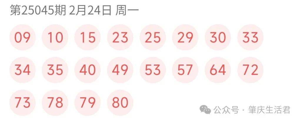澳门今晚开奖结果号码,澳门今晚开奖结果号码——探索彩票背后的故事
